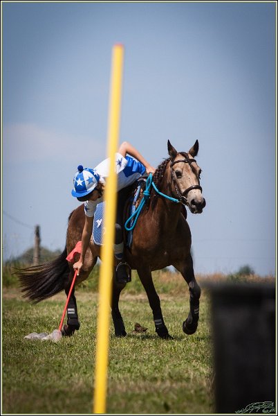 Mounted Games 193